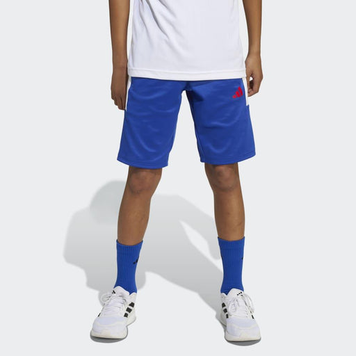 adidas Pantalón Corto House Of Tiro (adolescentes)