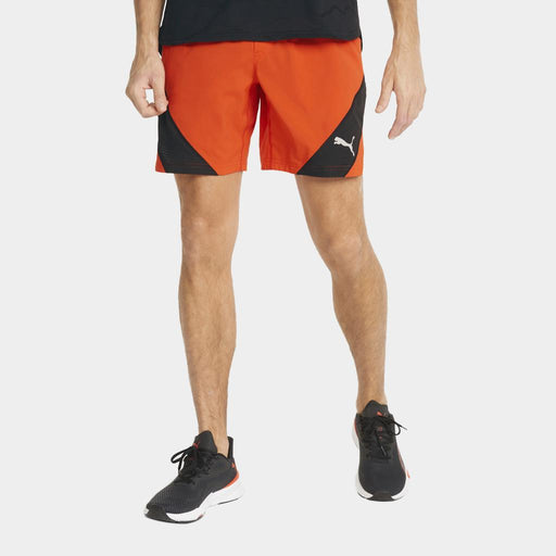 Puma Train