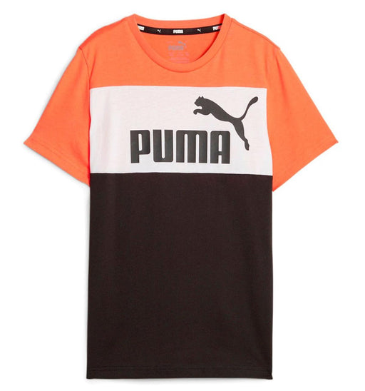 Puma Essential Block Tee