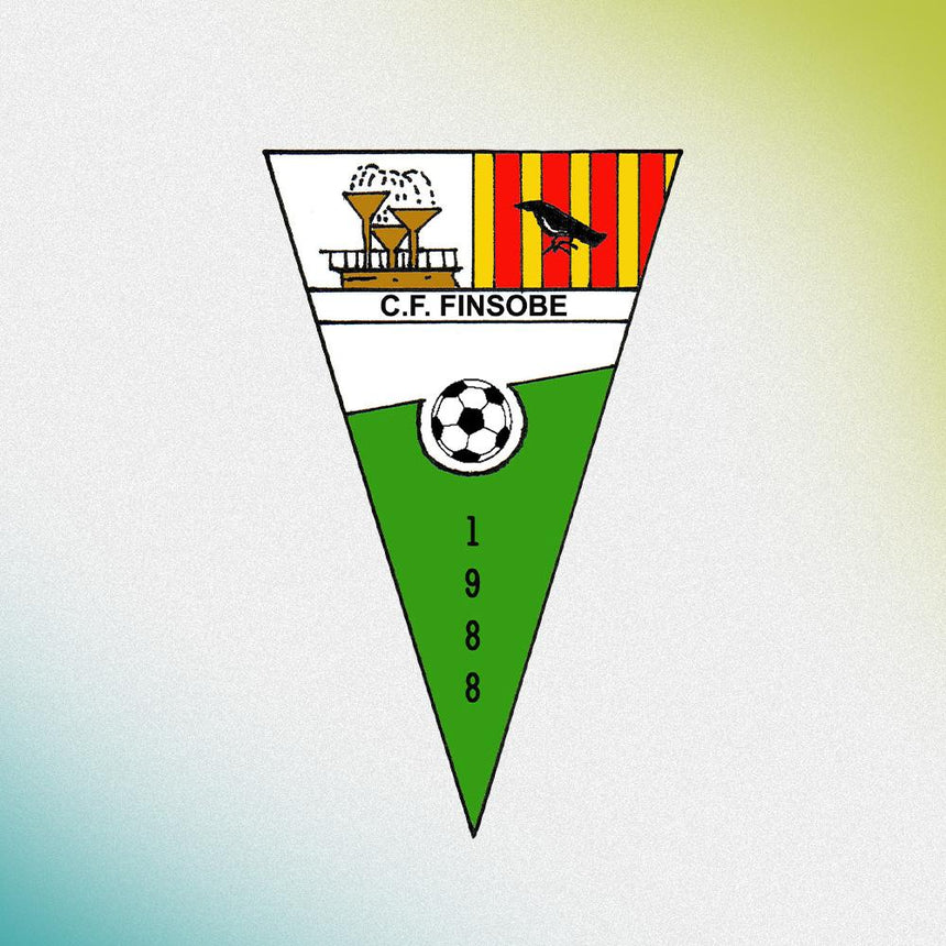 PACK COMPLETO PORTERO CF FINSOBE