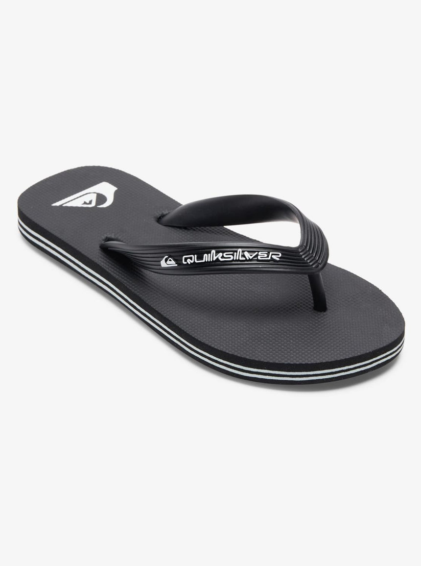 Quiksilver Molokai Core