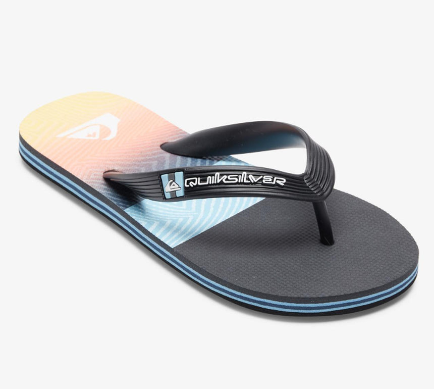 Quiksilver Molokai Panel
