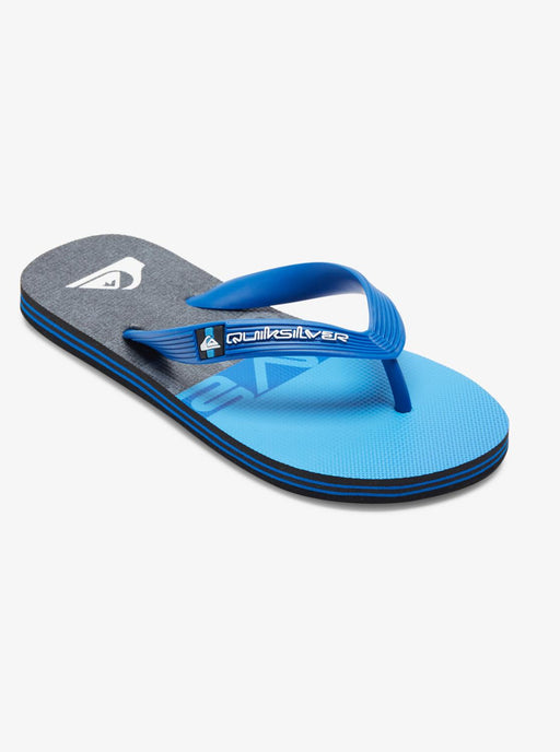 Quiksilver Molokai Panel