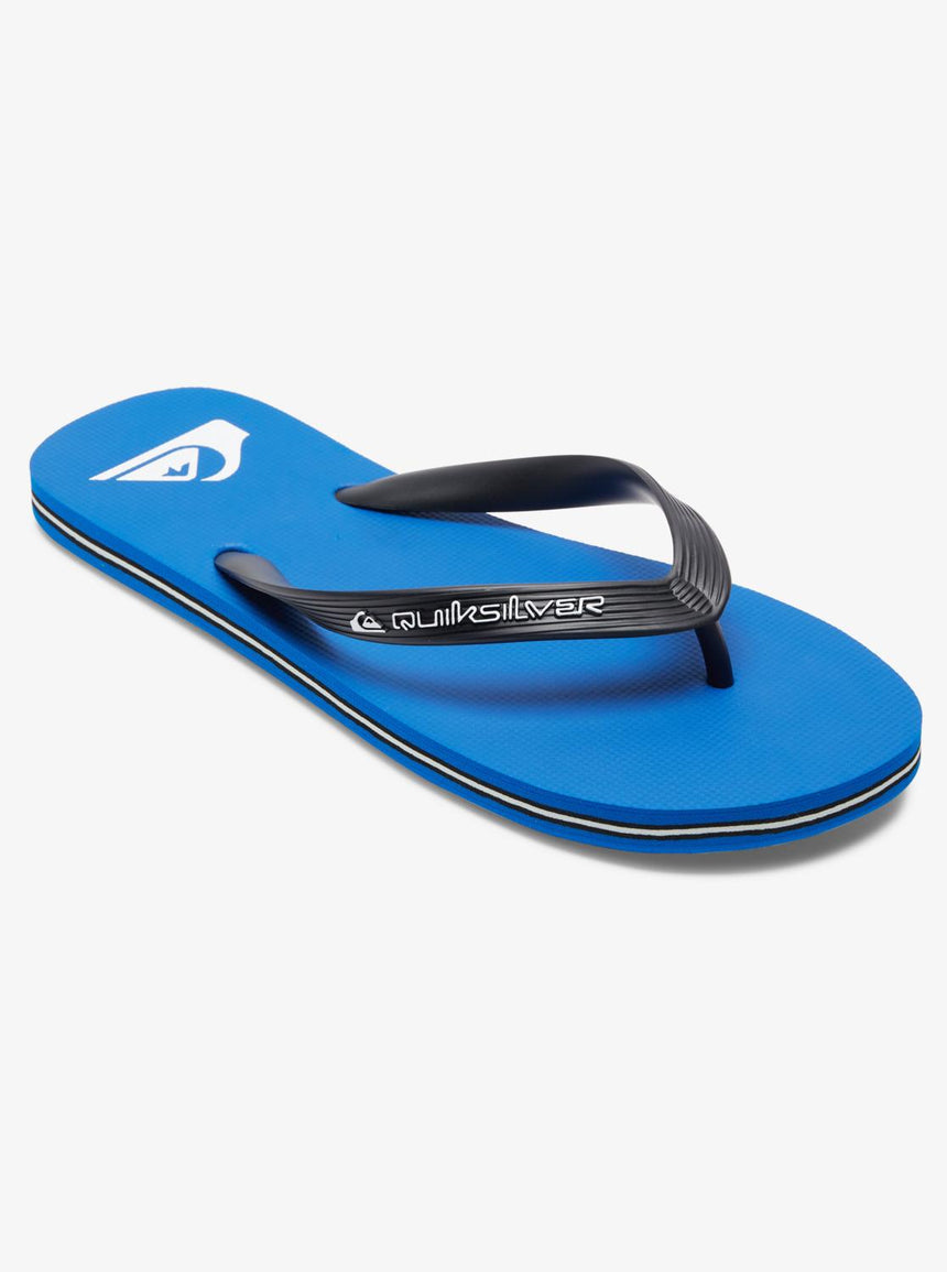 Quiksilver Molokai Core