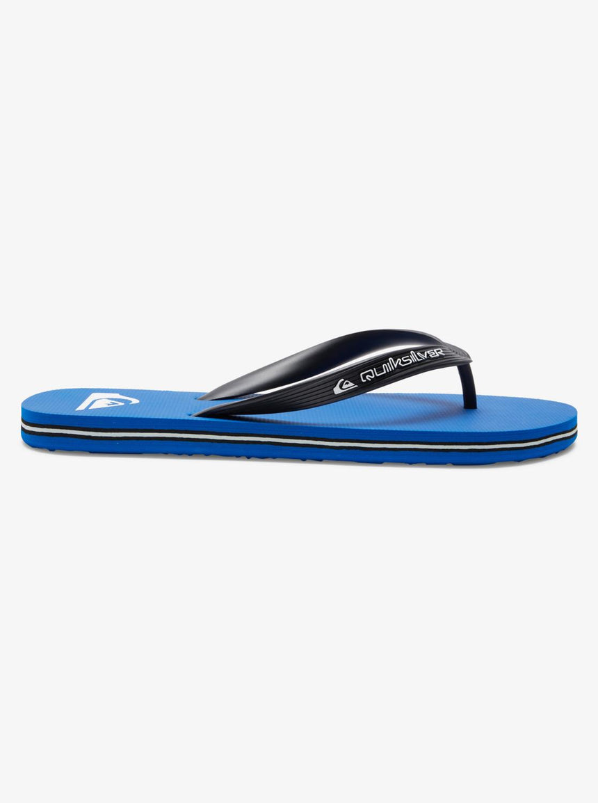 Quiksilver Molokai Core