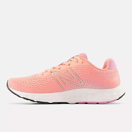 New Balance 520 v8