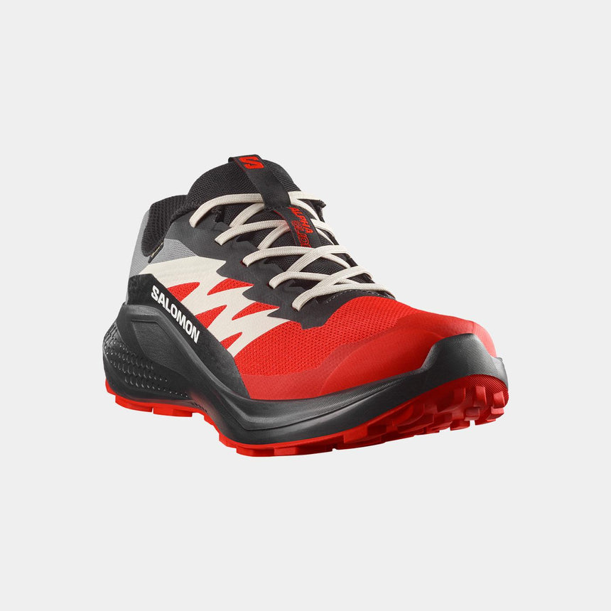 Zapatillas De Trail Running Salomon Alphaglide GorE-Tex