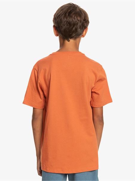 Quiksilver Qsrockinskull