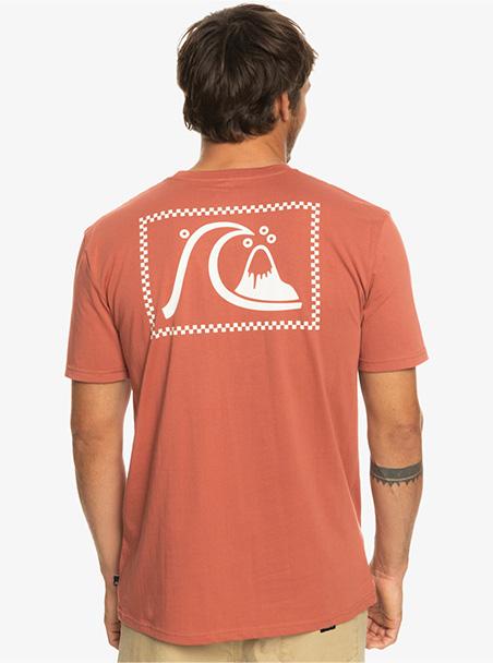 Quiksilver Theoriginaltee  Tees