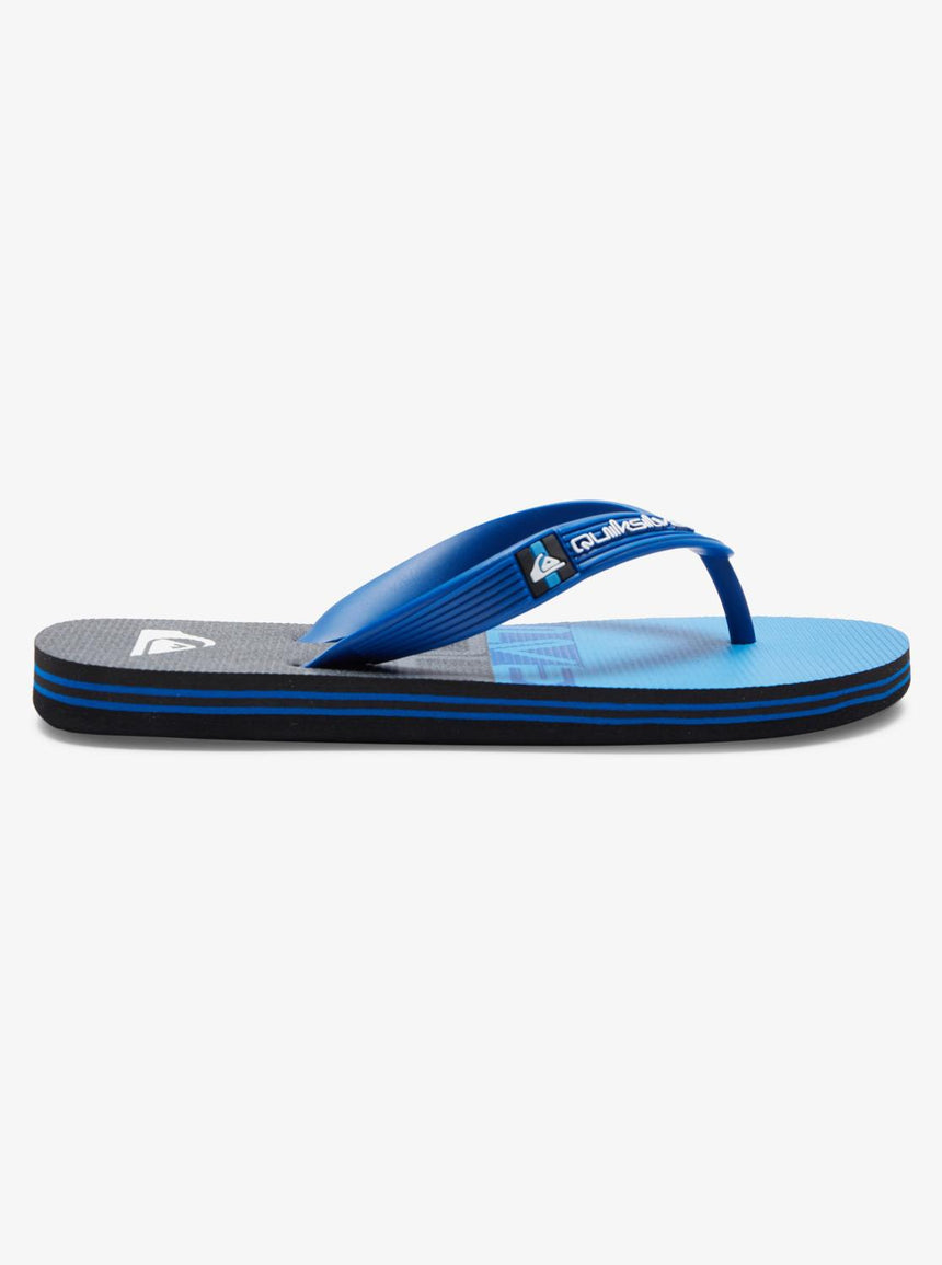 Quiksilver Molokai Panel