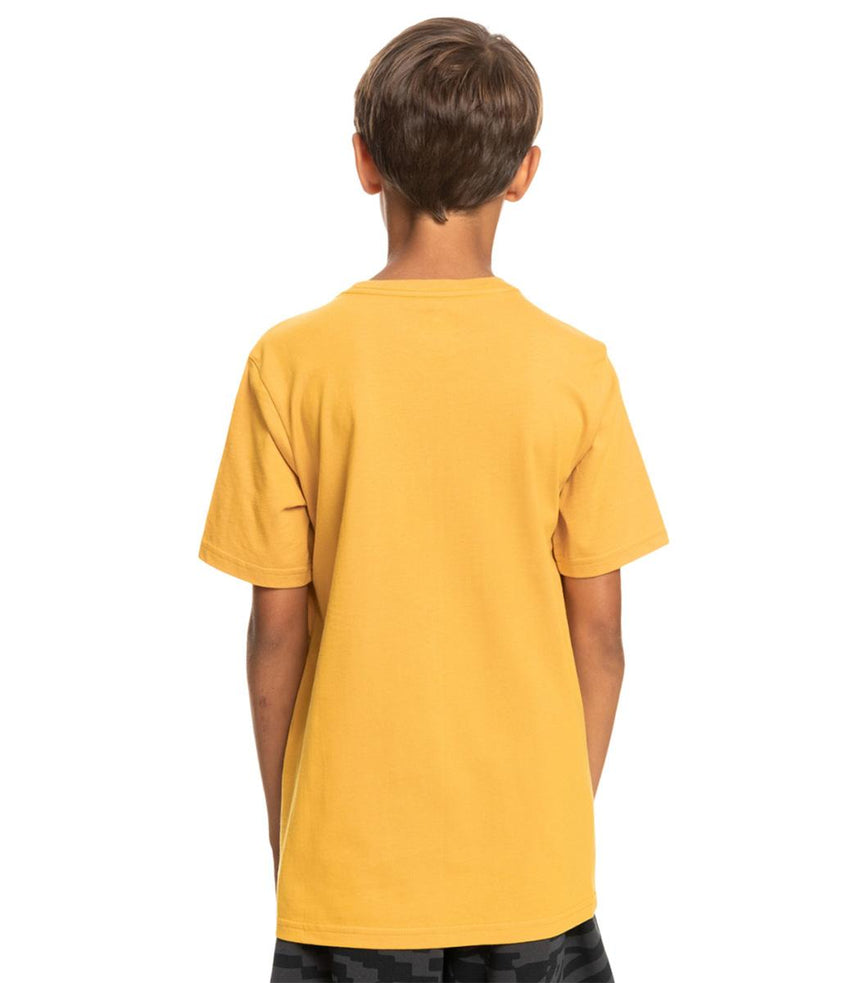 Quiksilver Qssurflockup