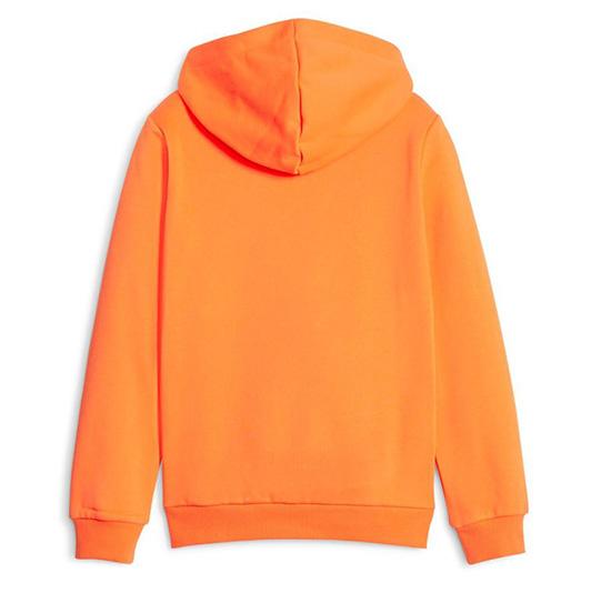 Puma Sudadera Essentials + Colourblock