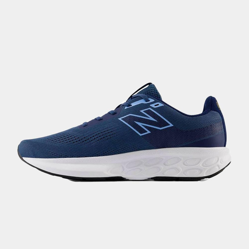 Zapatilla New Balance Fresh Foam 520 v9