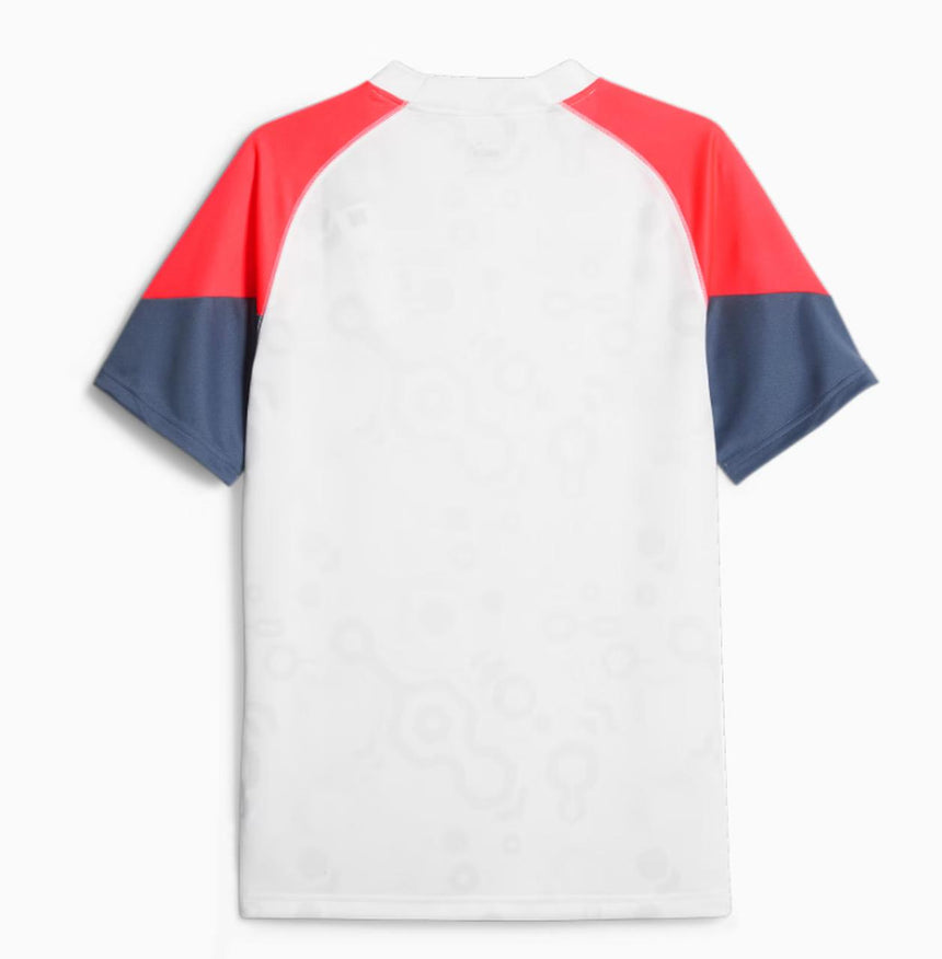 Puma Individualcup Jersey