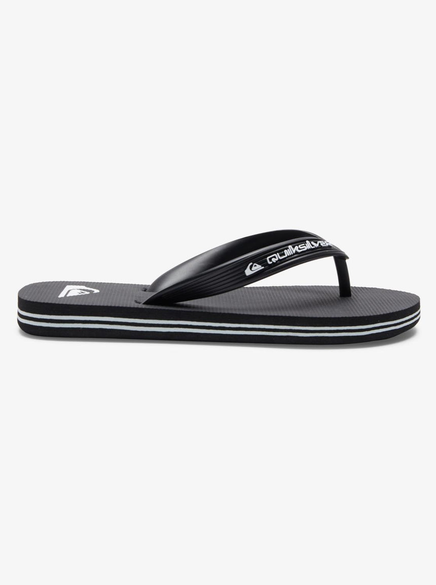 Quiksilver Molokai Core