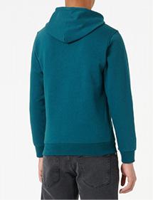 Champion Hooded Sweatshirt