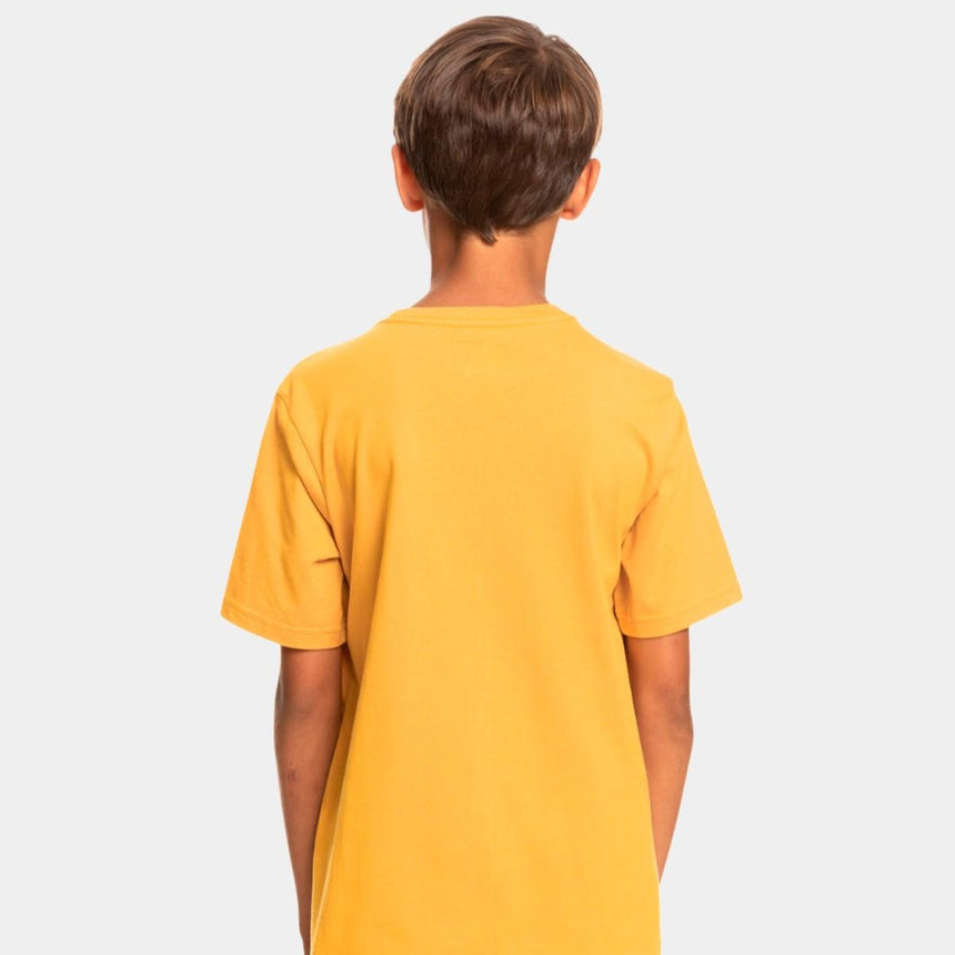 Quiksilver Qssurflockup
