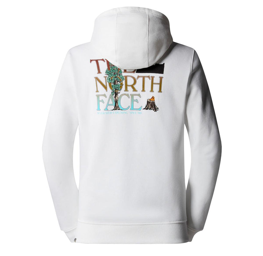 The North Face Seasonal Graphic Hoodie Essentials
