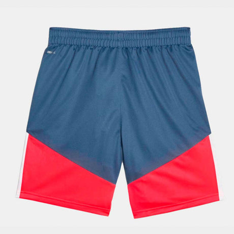 Puma Individualcup Shorts