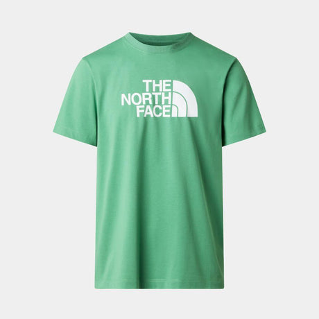 Camiseta The North Face Estándar Half Dome Evolution Para Hombre