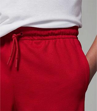 Jordan Training Shorts