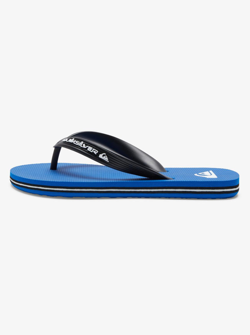 Quiksilver Molokai Core