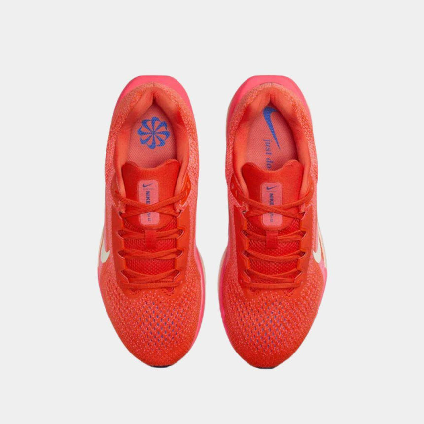Nike Winflo 11 Women's Road Running