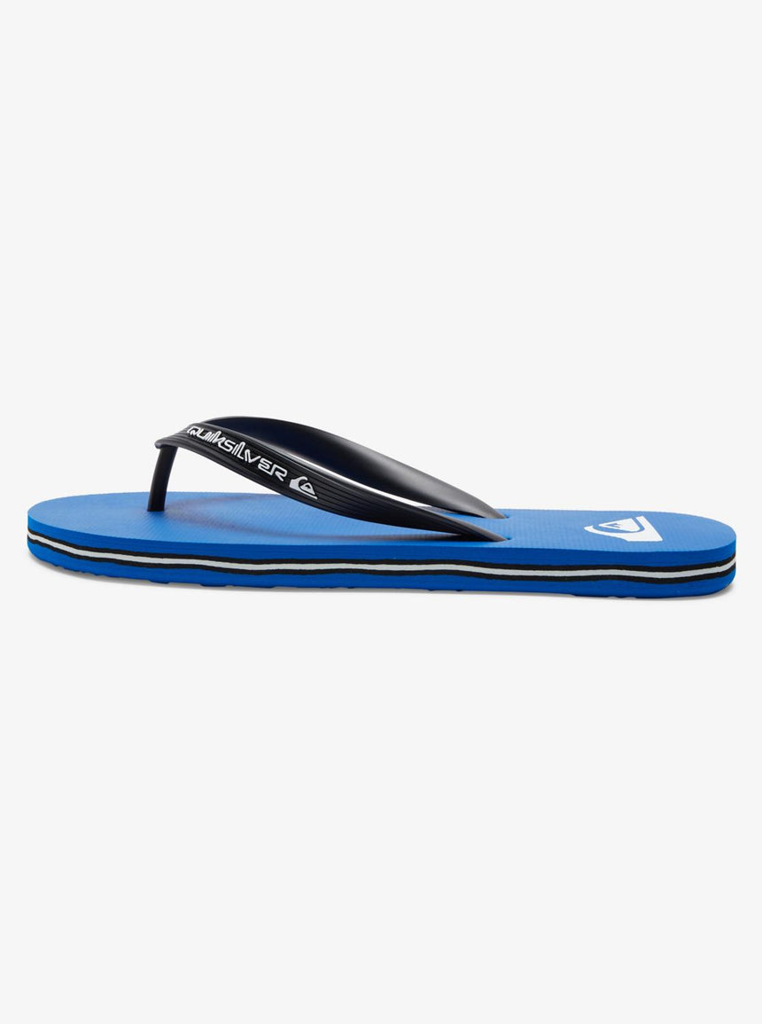 Quiksilver Molokai Core