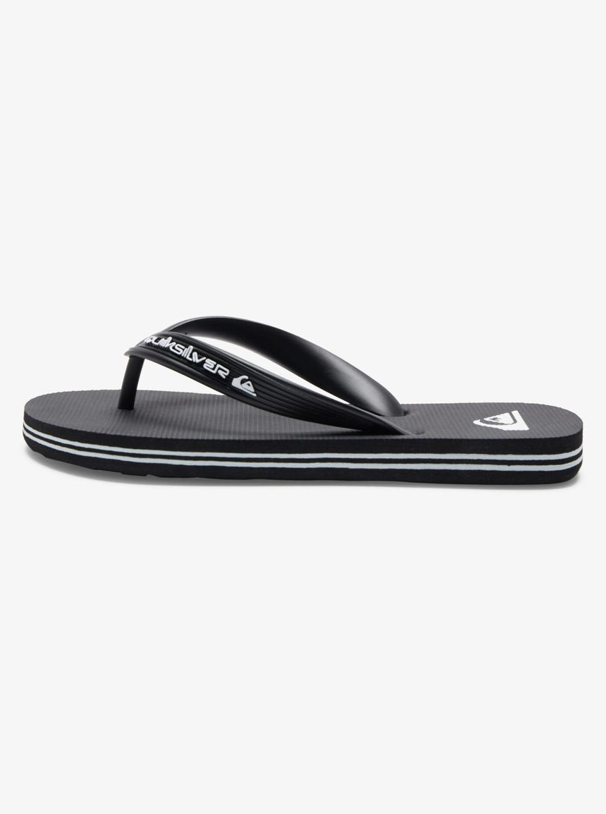 Quiksilver Molokai Core
