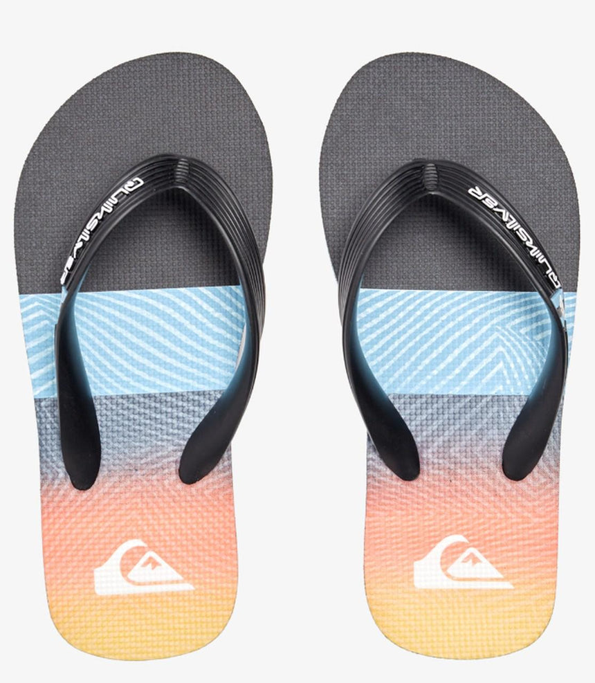 Quiksilver Molokai Panel