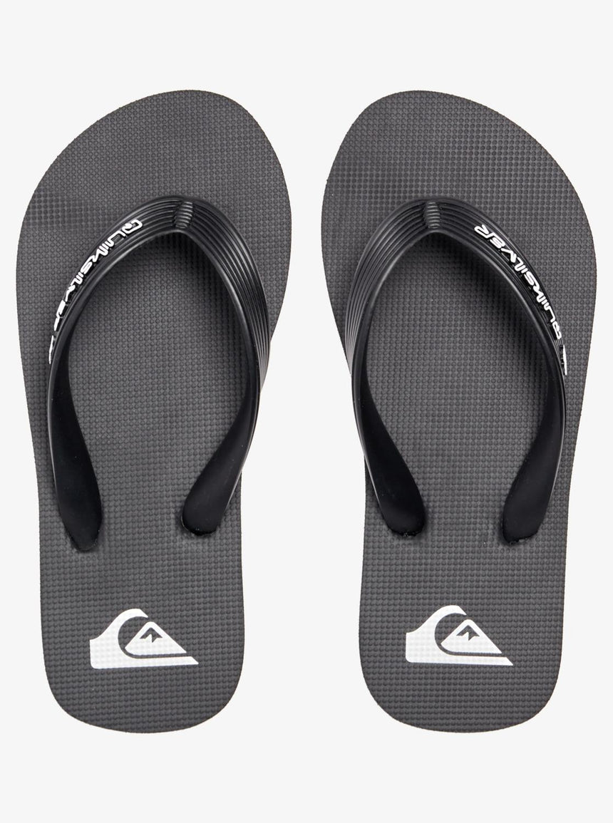 Quiksilver Molokai Core