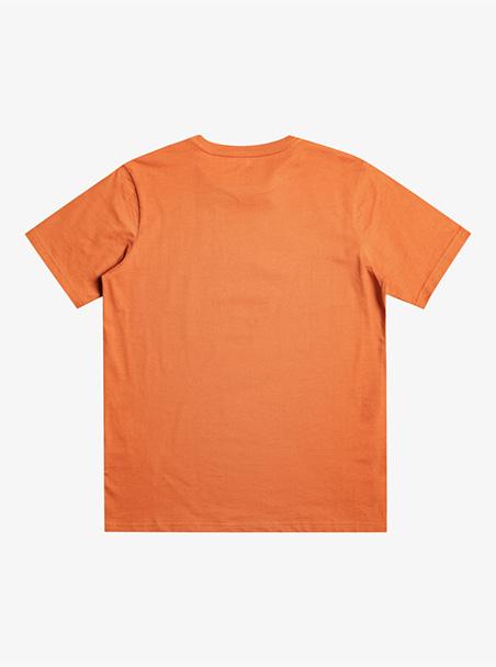 Quiksilver Qsrockinskull