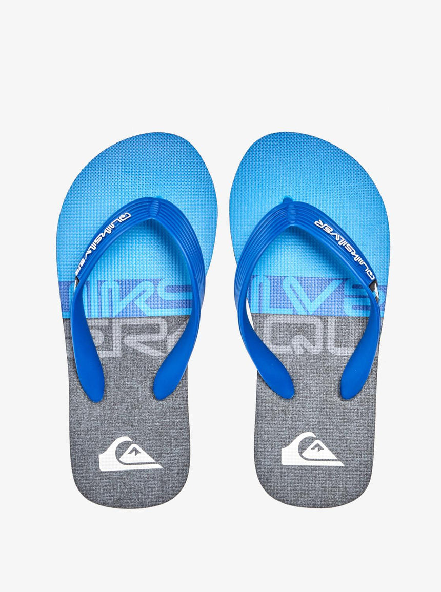 Quiksilver Molokai Panel