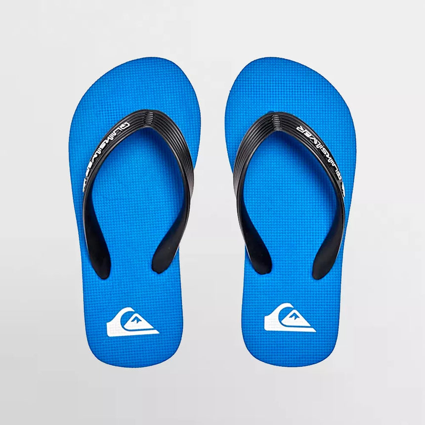 Quiksilver Molokai Core