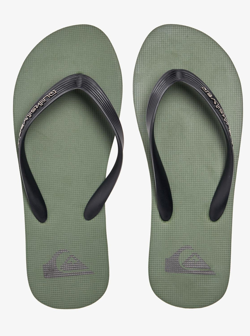 Quiksilver Molokai Core