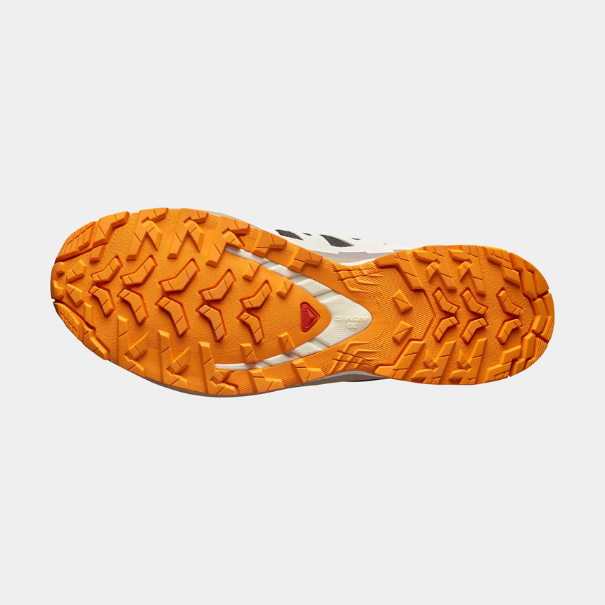 Zapatillas De Trail Running Xa Pro 3d V9 GorE-Tex