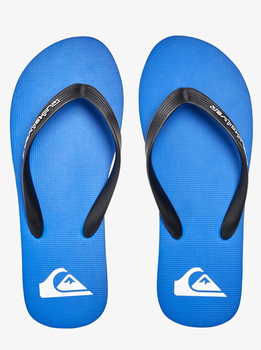 Quiksilver Molokai Core