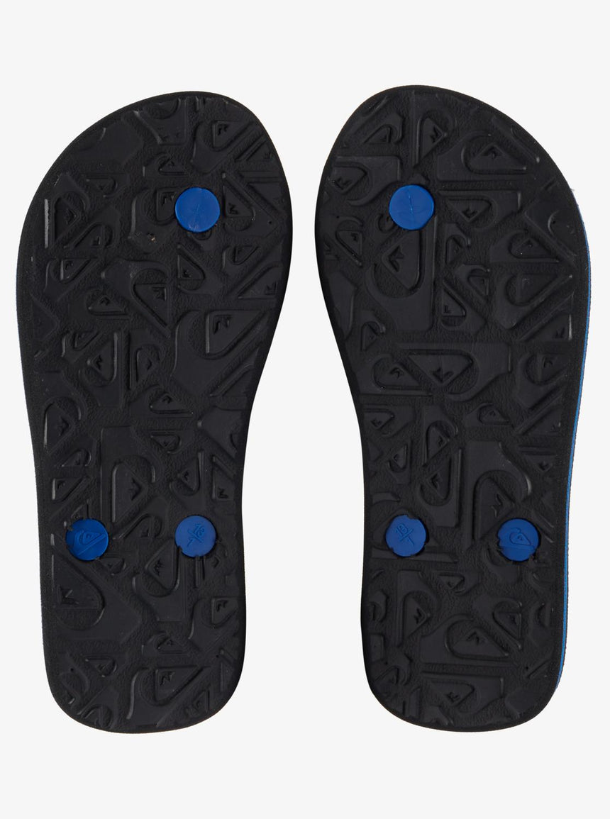 Quiksilver Molokai Panel